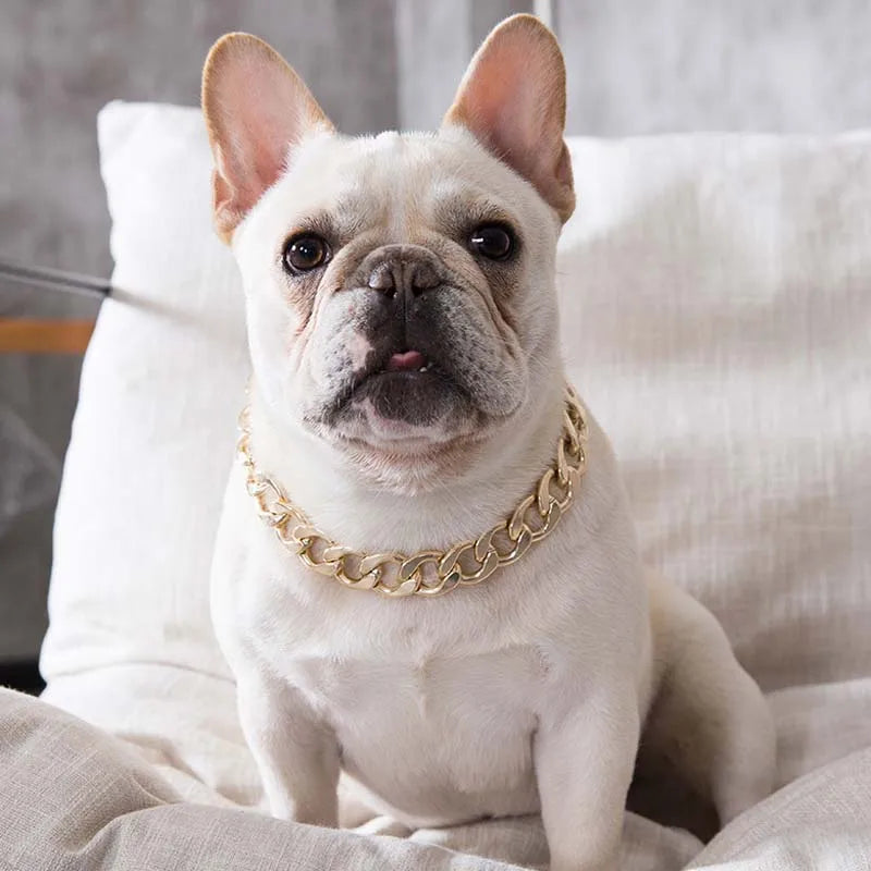 Collar for Small/Medium Dogs