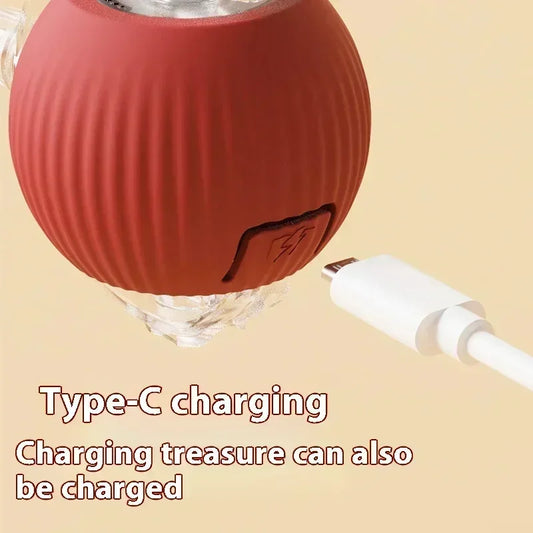 Interactive Toy Ball