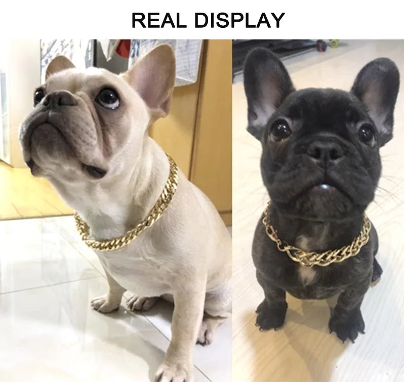 Collar for Small/Medium Dogs