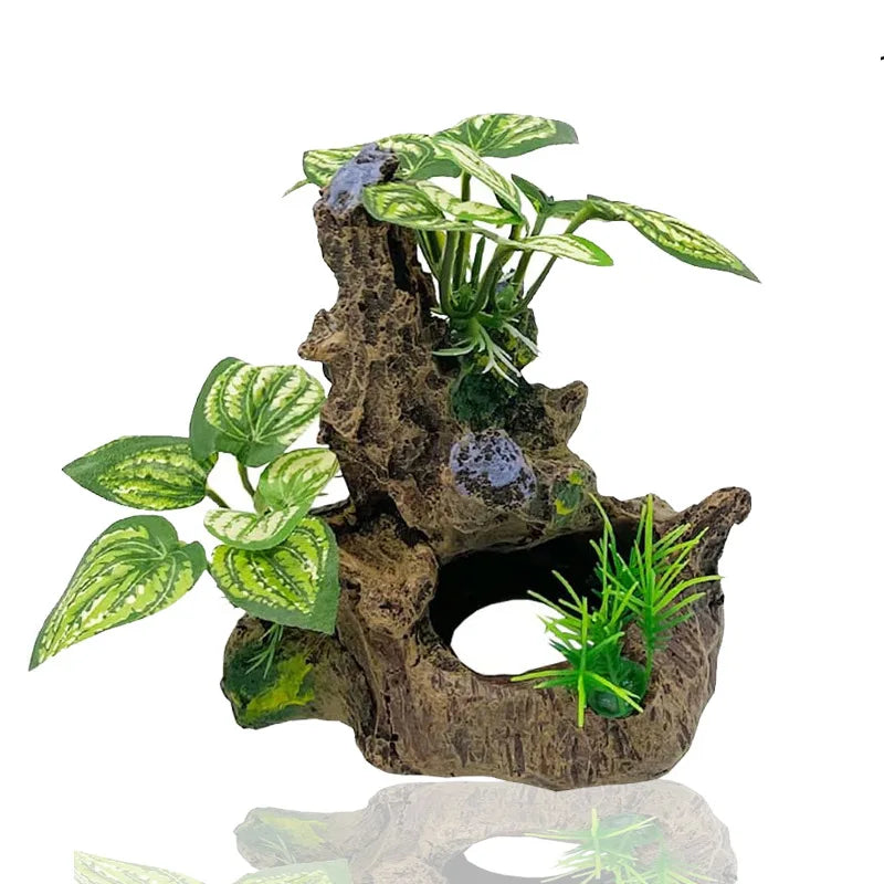Aquarium  Plants