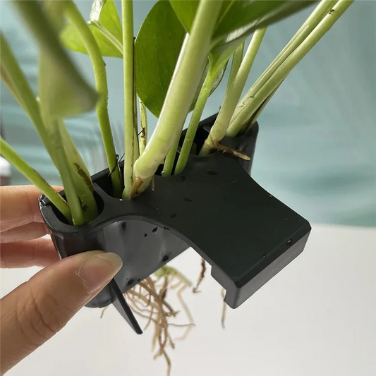 Aquarium Plant Basket