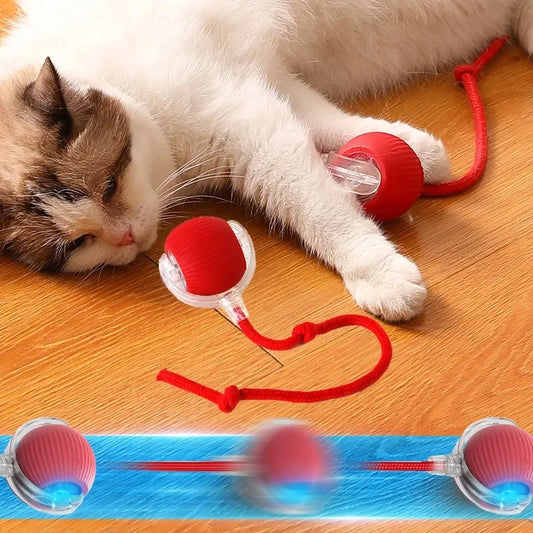 Cat toy ball