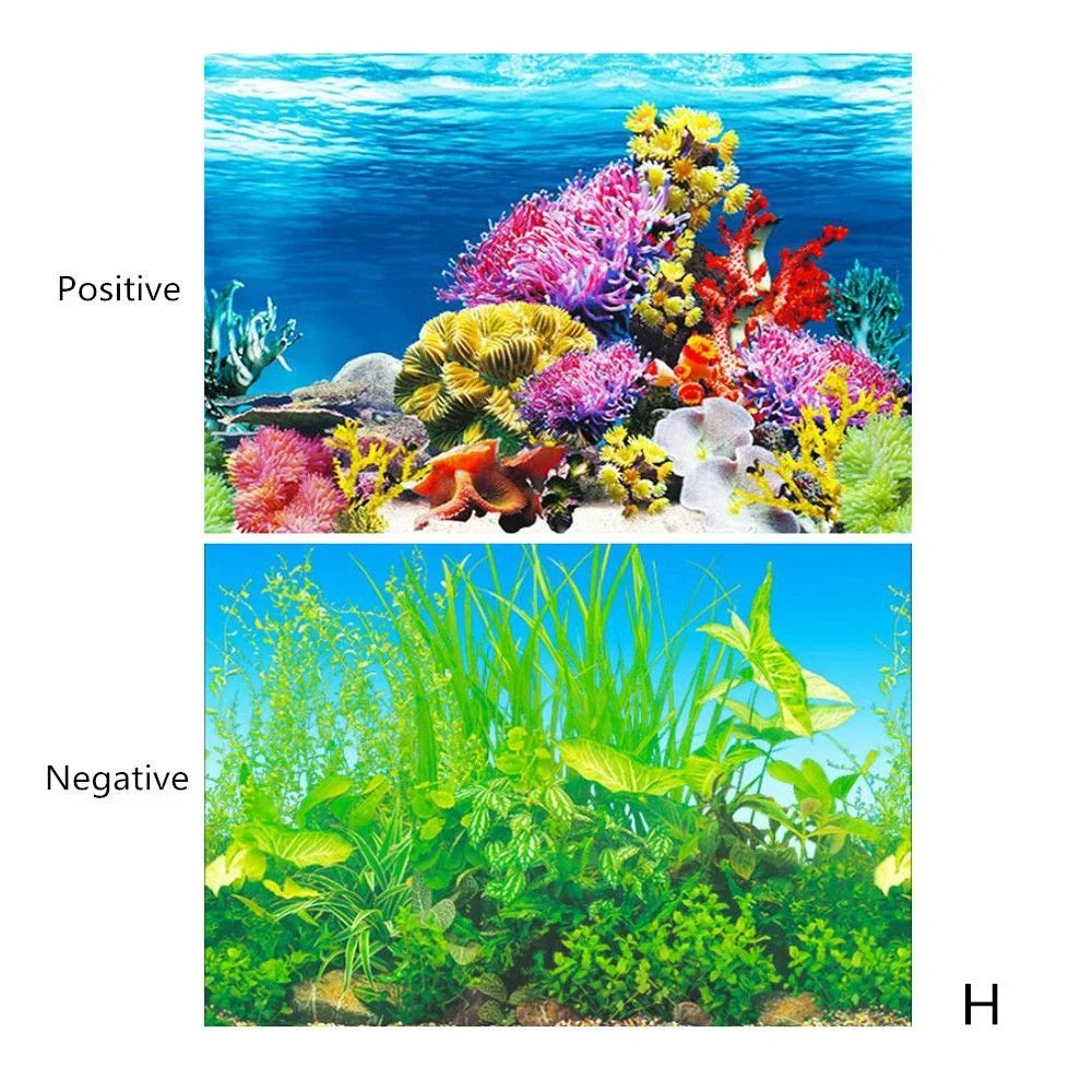 Aquarium Background Sticker