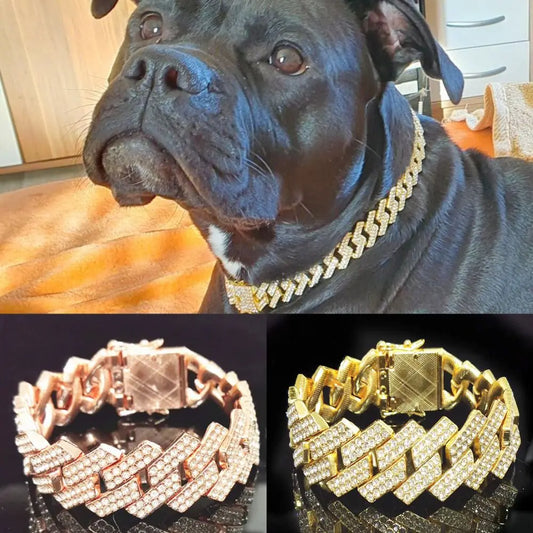 Luxury Collar Chain