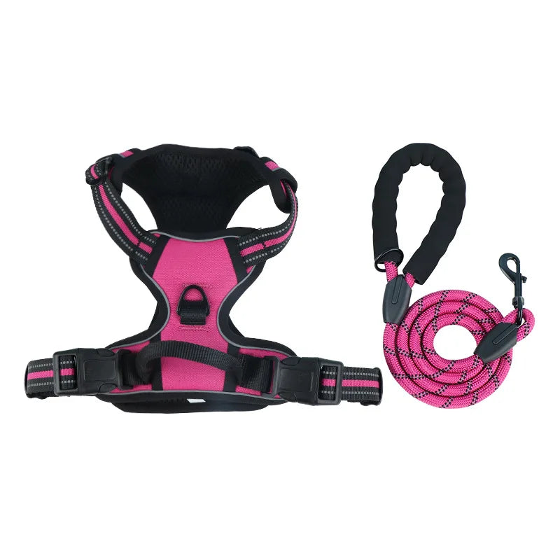 Dog collar, harness