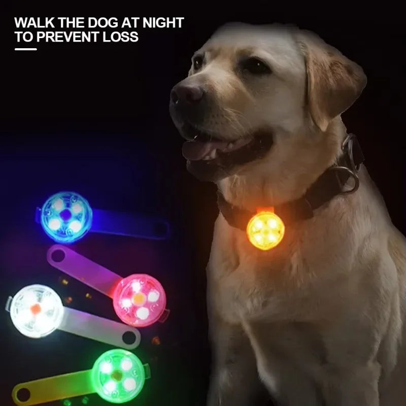 Dog collar LED