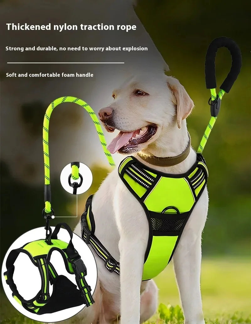 Dog collar, harness