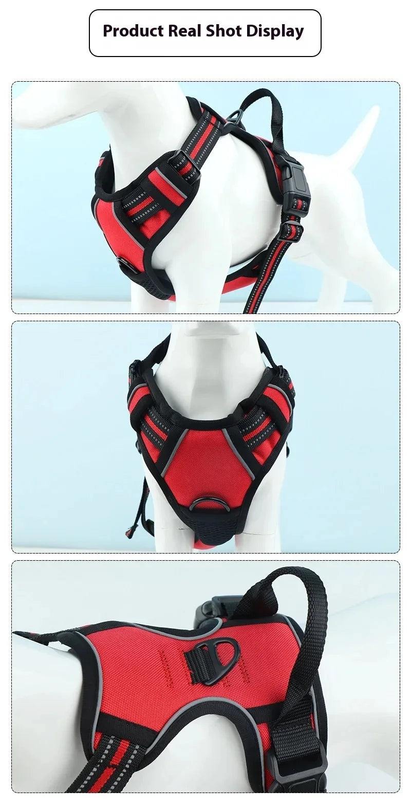 Dog collar, harness