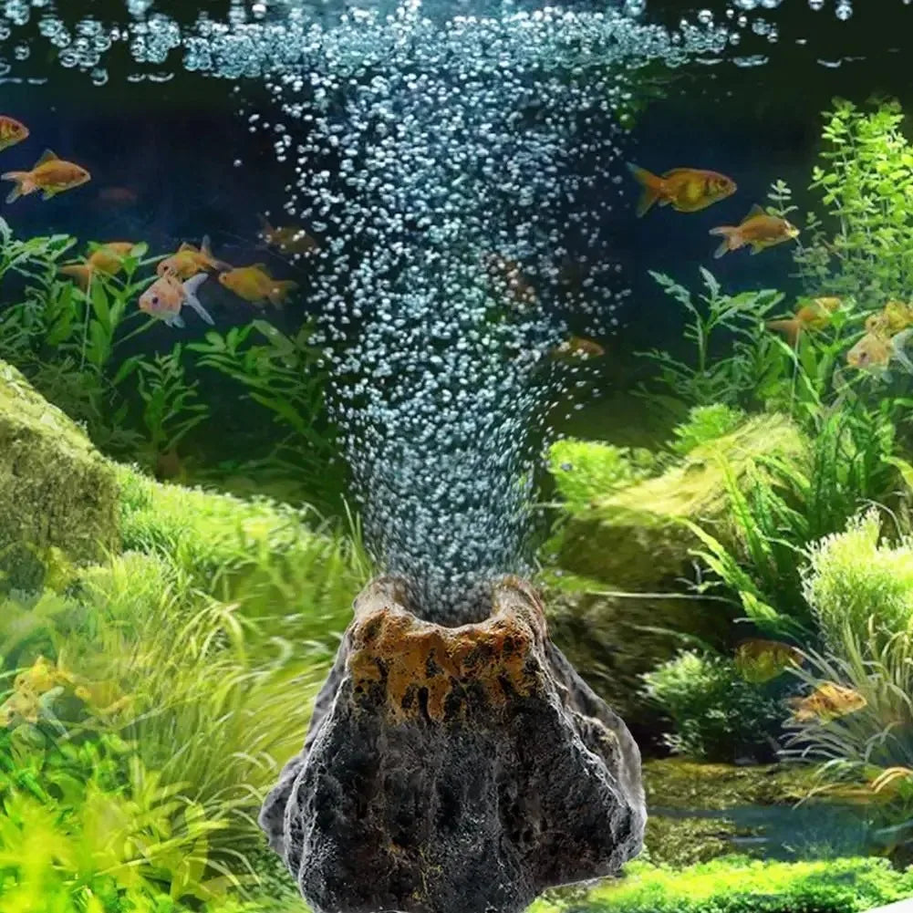 Fish Tank Aquarium