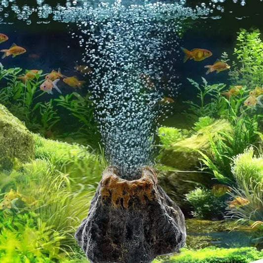 Fish Tank Aquarium