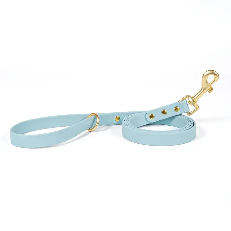 Dog Leash