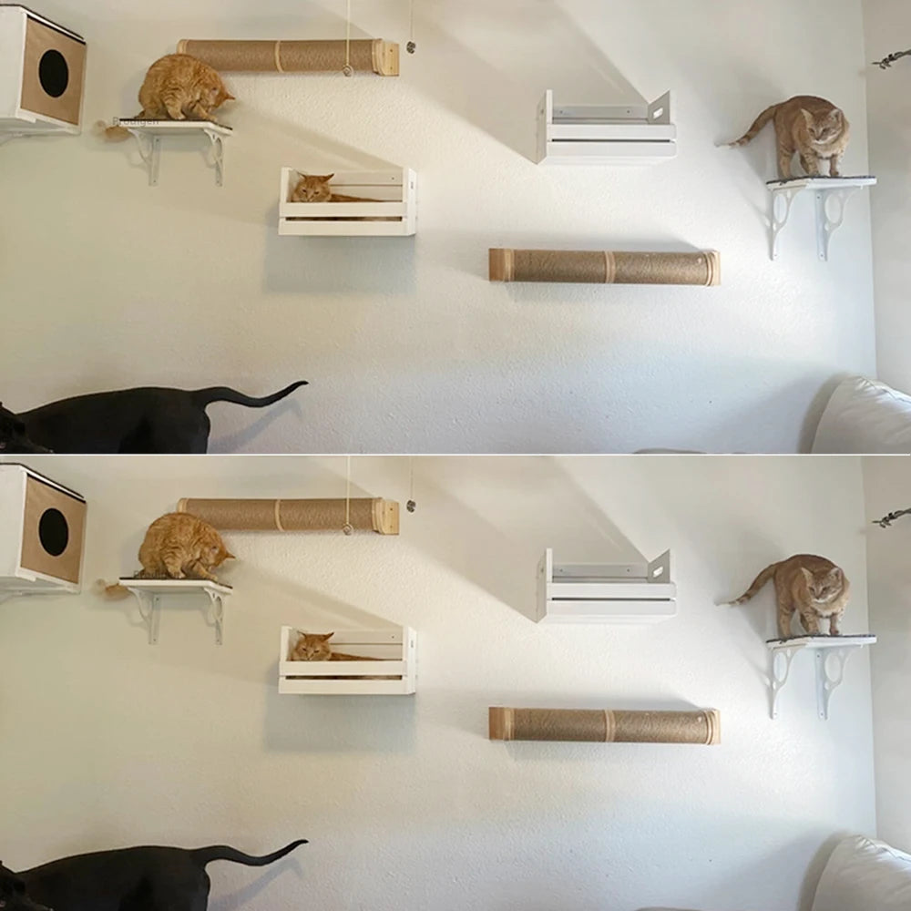 Wall Mounted Cat Tree