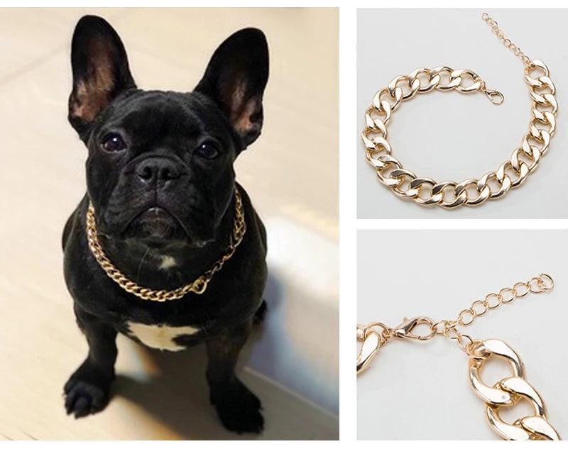 Collar for Small/Medium Dogs