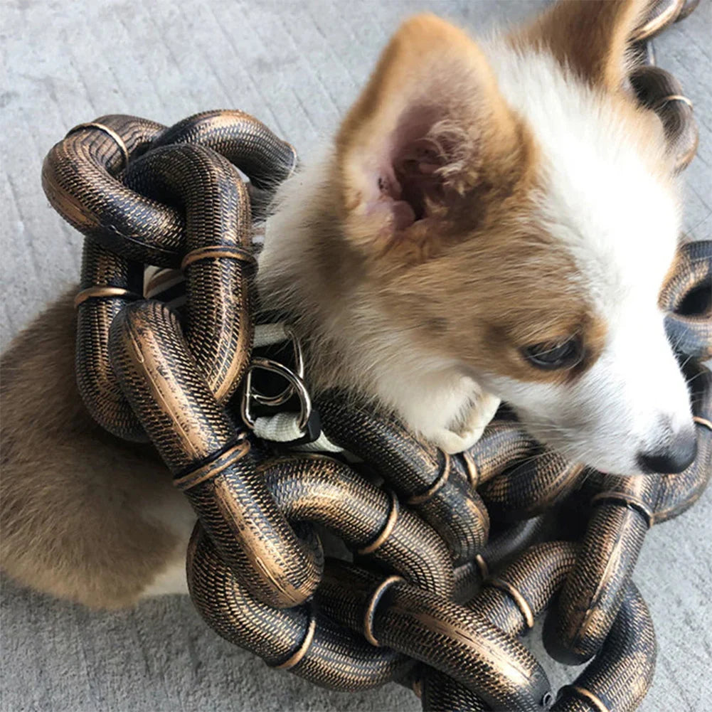 Chain Dog Leashes