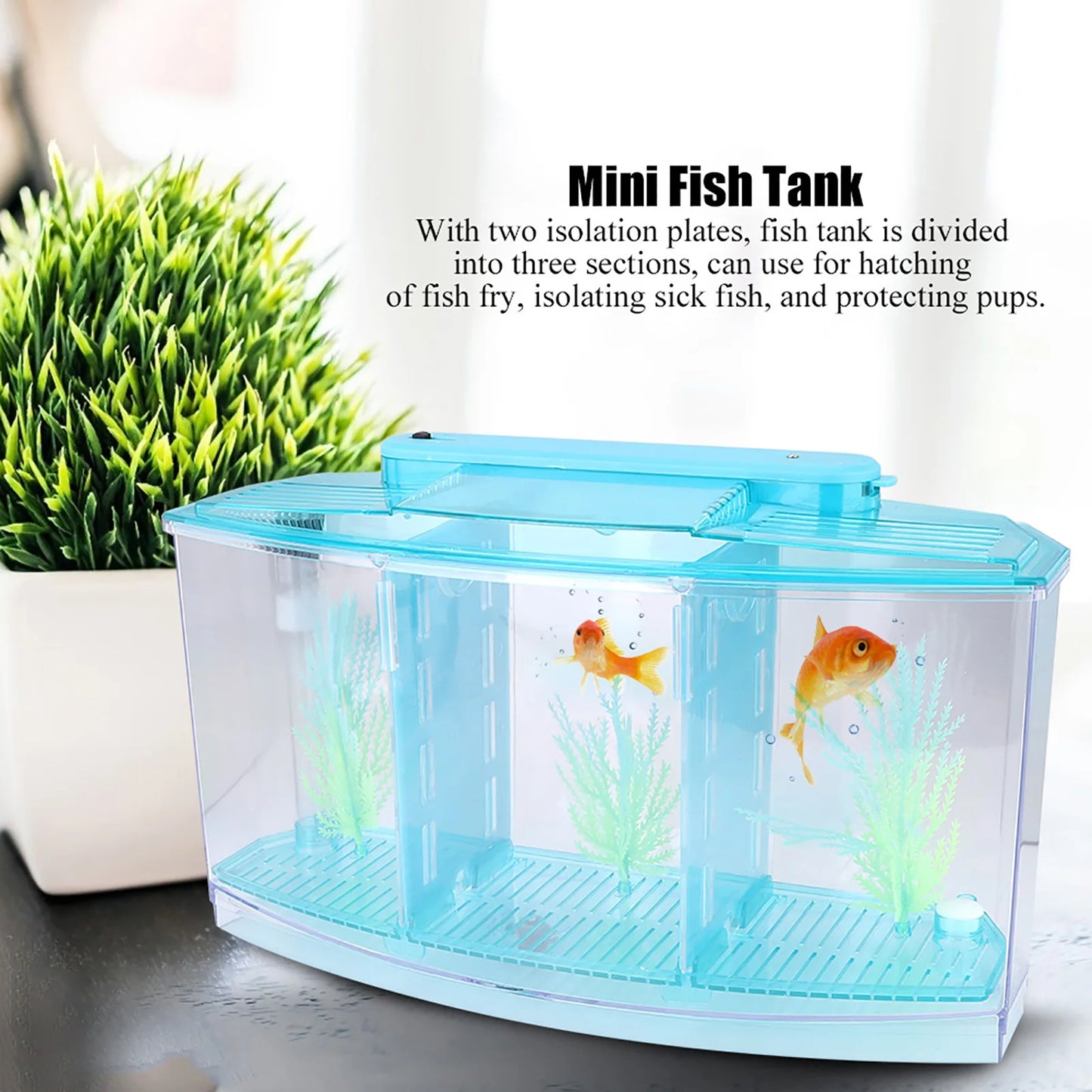 Aquarium Fish Tank