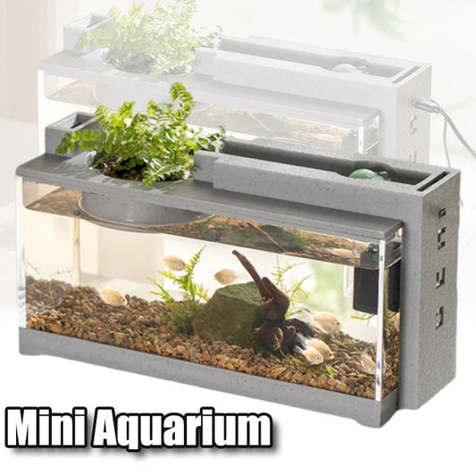 Small Aquarium with Built-in Oxygen Bar