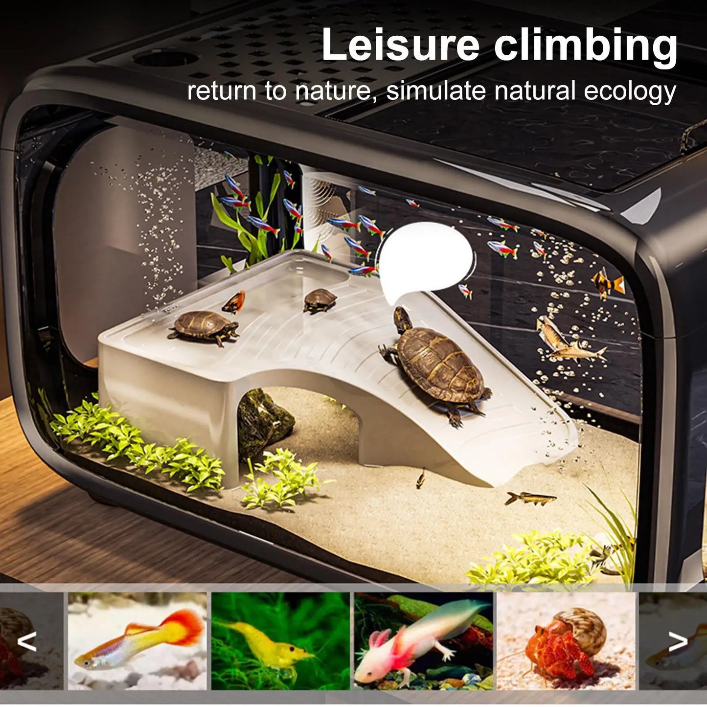 Aquarium Fish Tank