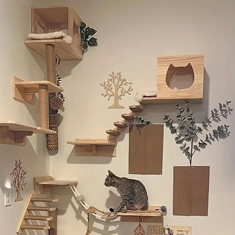 Cat Wall Rack Set
