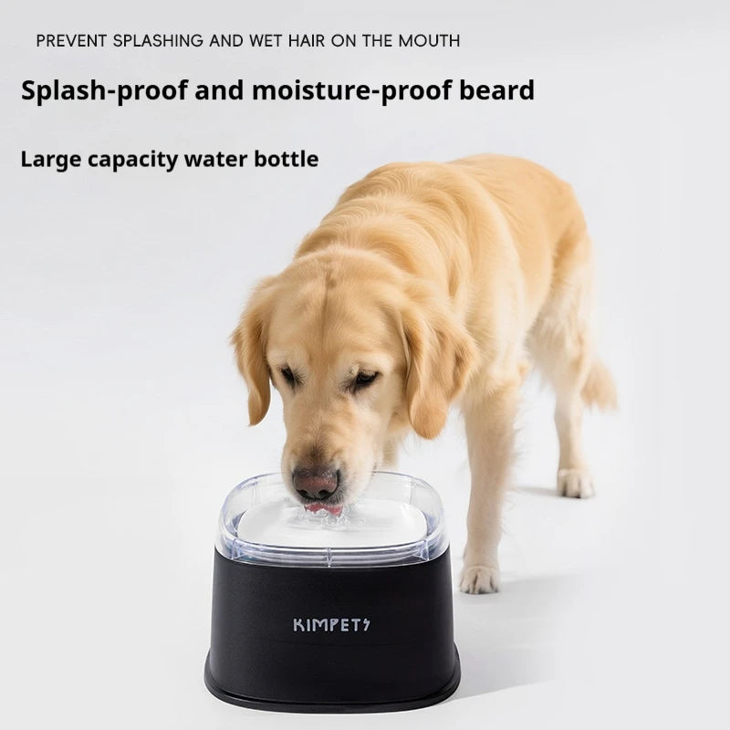Floating Bowl