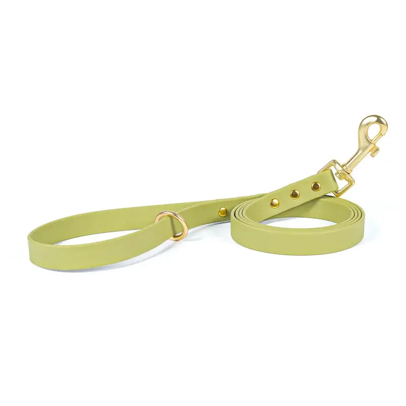 Dog Leash