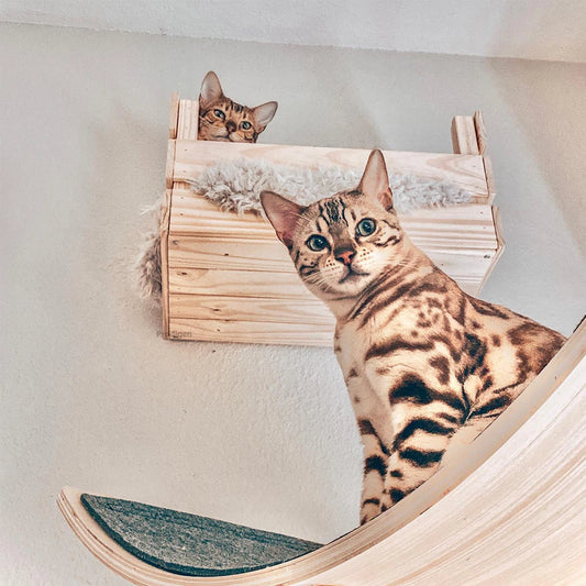 Wall Mounted Cat Tree