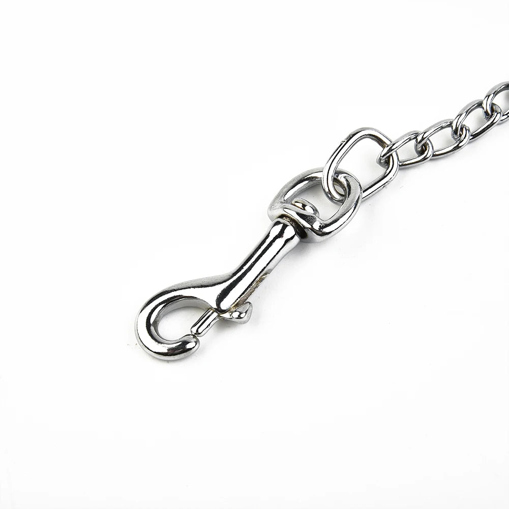 Leather Handle dog chain