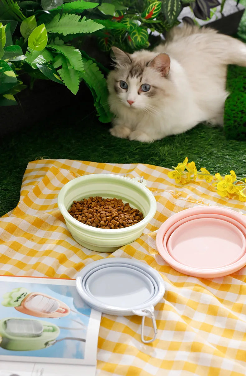 Portable Bowl