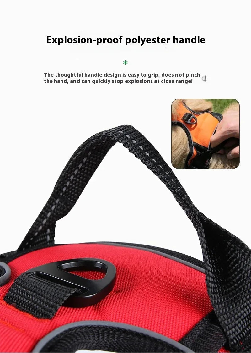 Dog collar, harness
