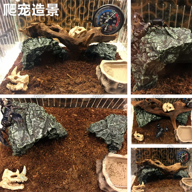 New Aquarium Decoration