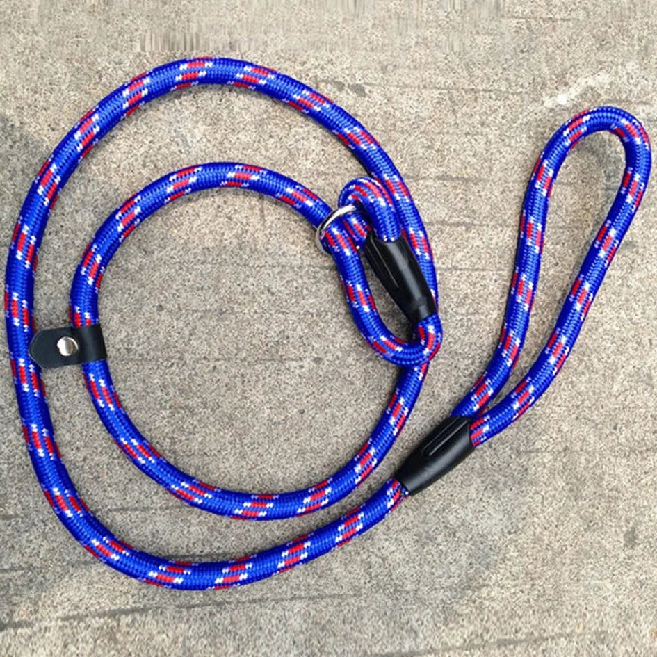 Dog Leash With Comfortable Padded Handle