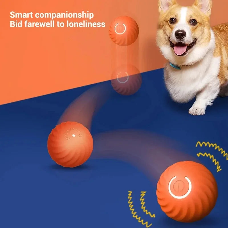 Bouncing Dog Ball