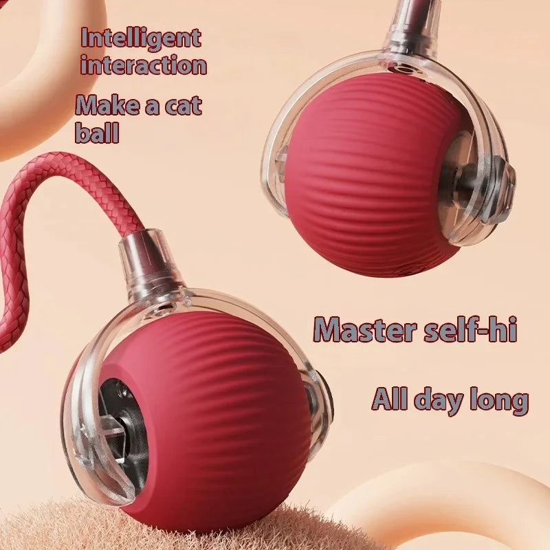 Cat toy ball