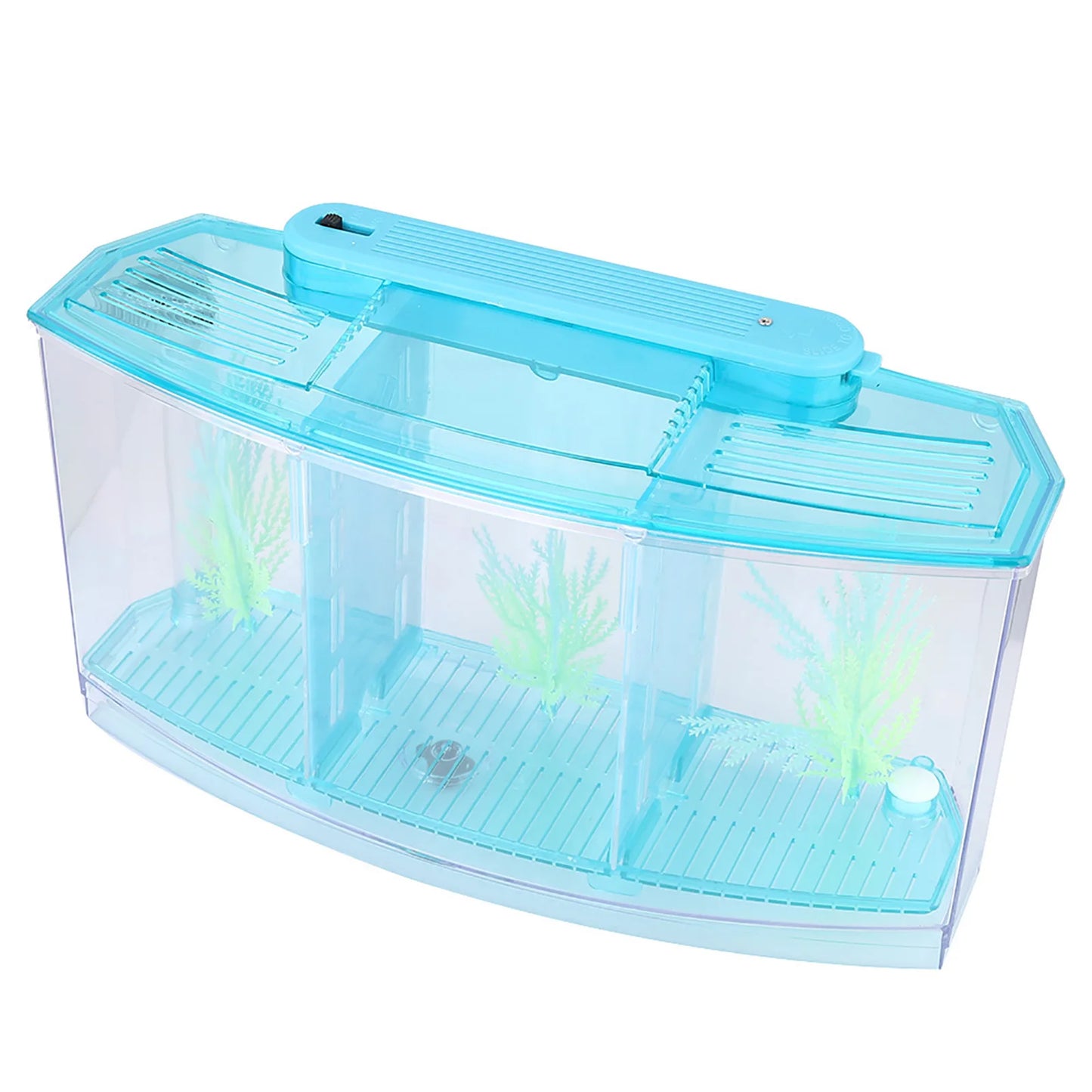 Aquarium Fish Tank
