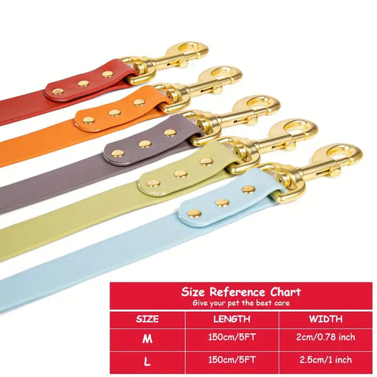 Dog Leash