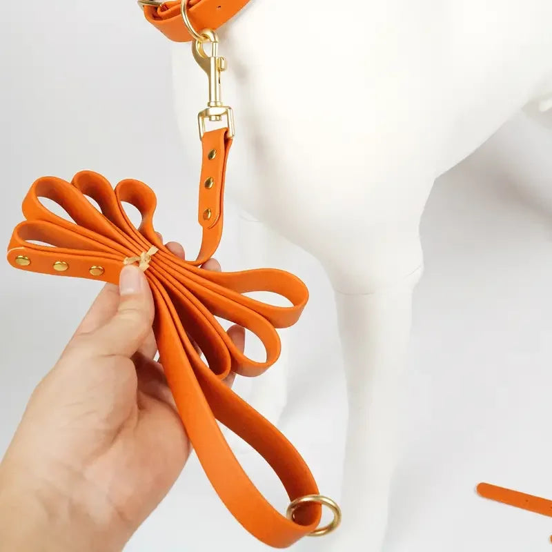 Dog Leash