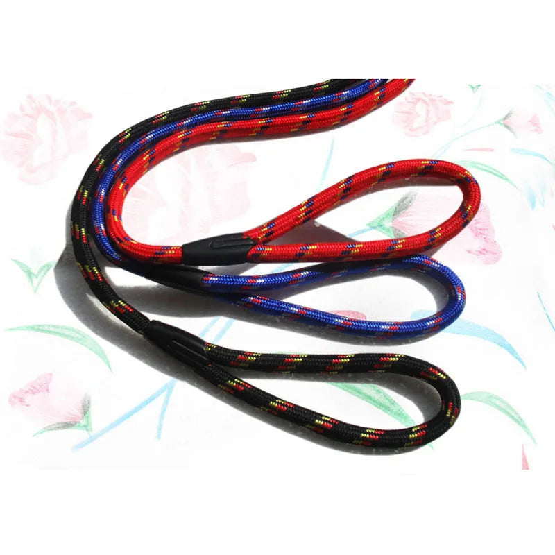 Dog Leash With Comfortable Padded Handle