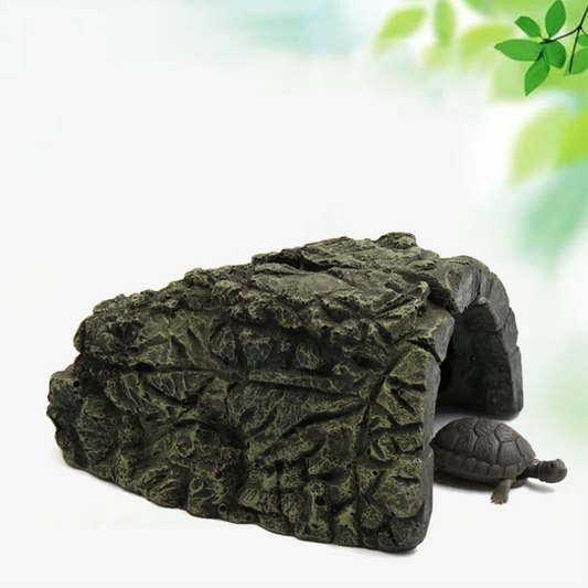 New Aquarium Decoration