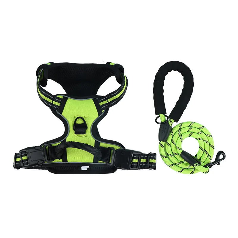 Dog collar, harness