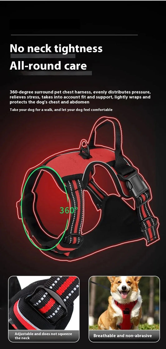 Dog collar, harness