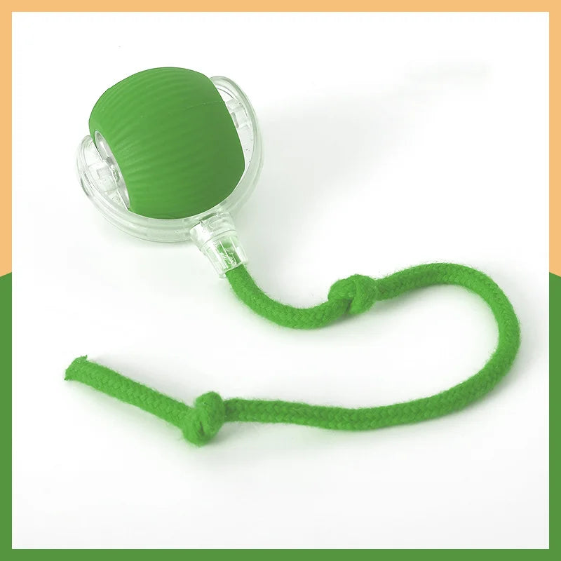 Cat toy ball
