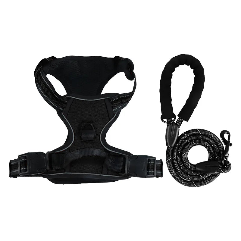 Dog collar, harness