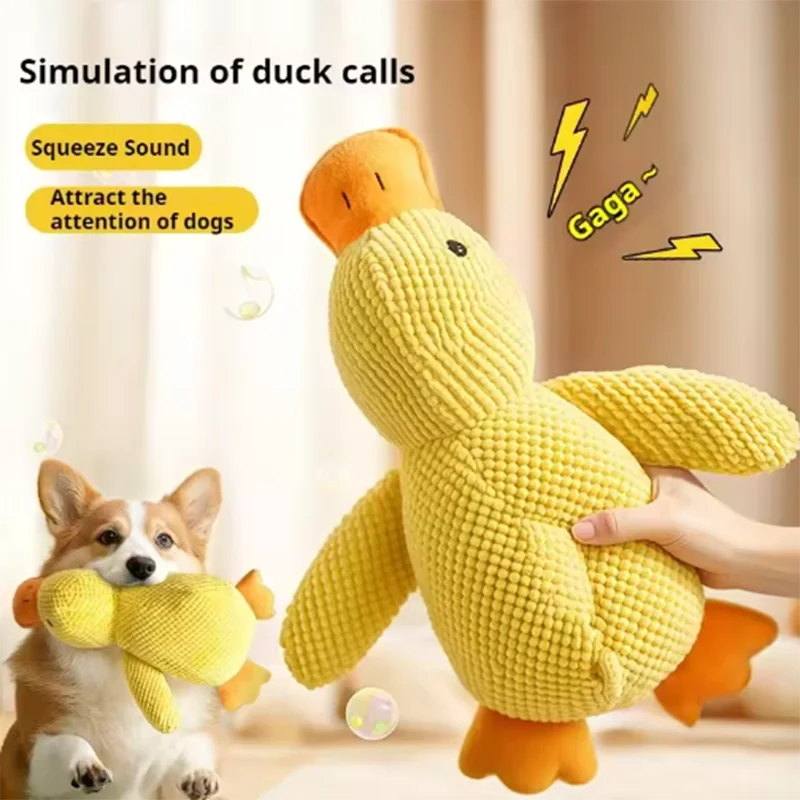 Stomping Duck