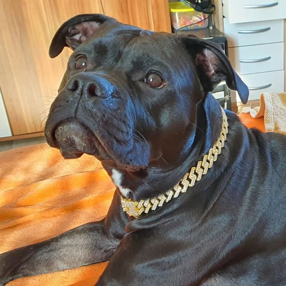 Luxury Collar Chain
