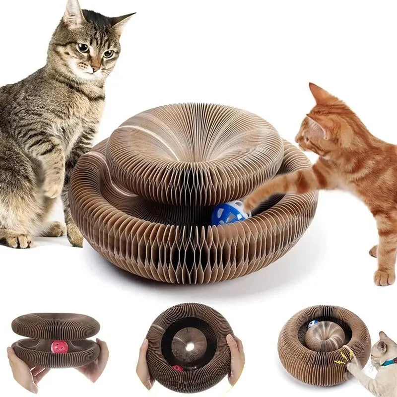Magic Cat Scratcher & Toy