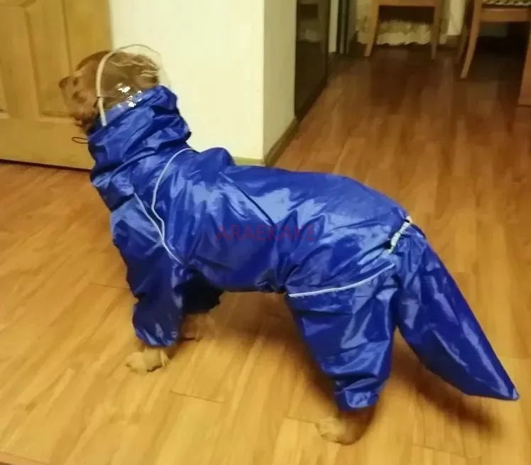 All inclusive raincoat