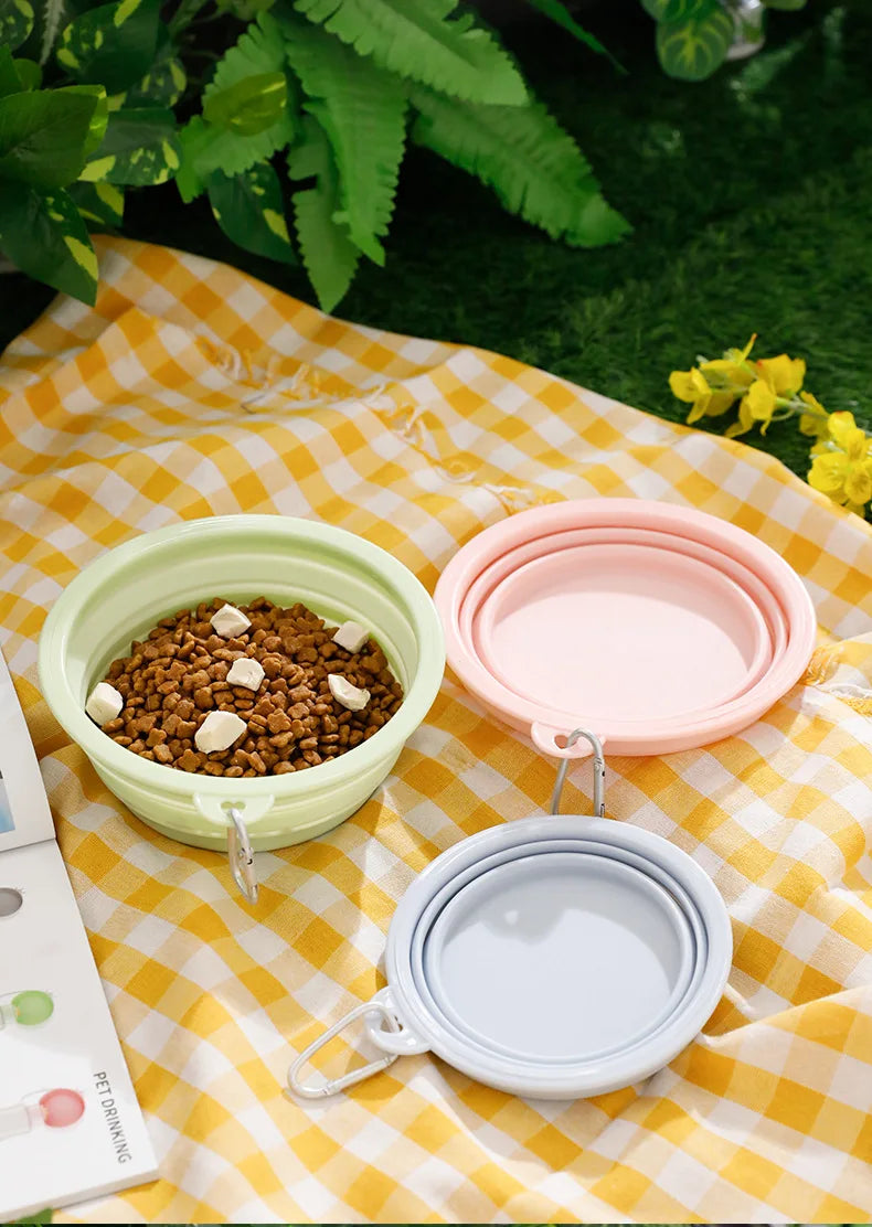 Portable Bowl