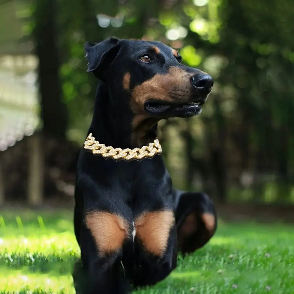 Luxury Collar Chain