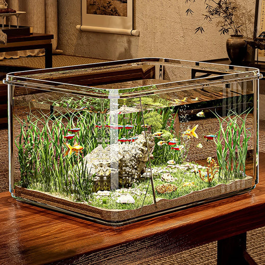 Desktop Fish Tank