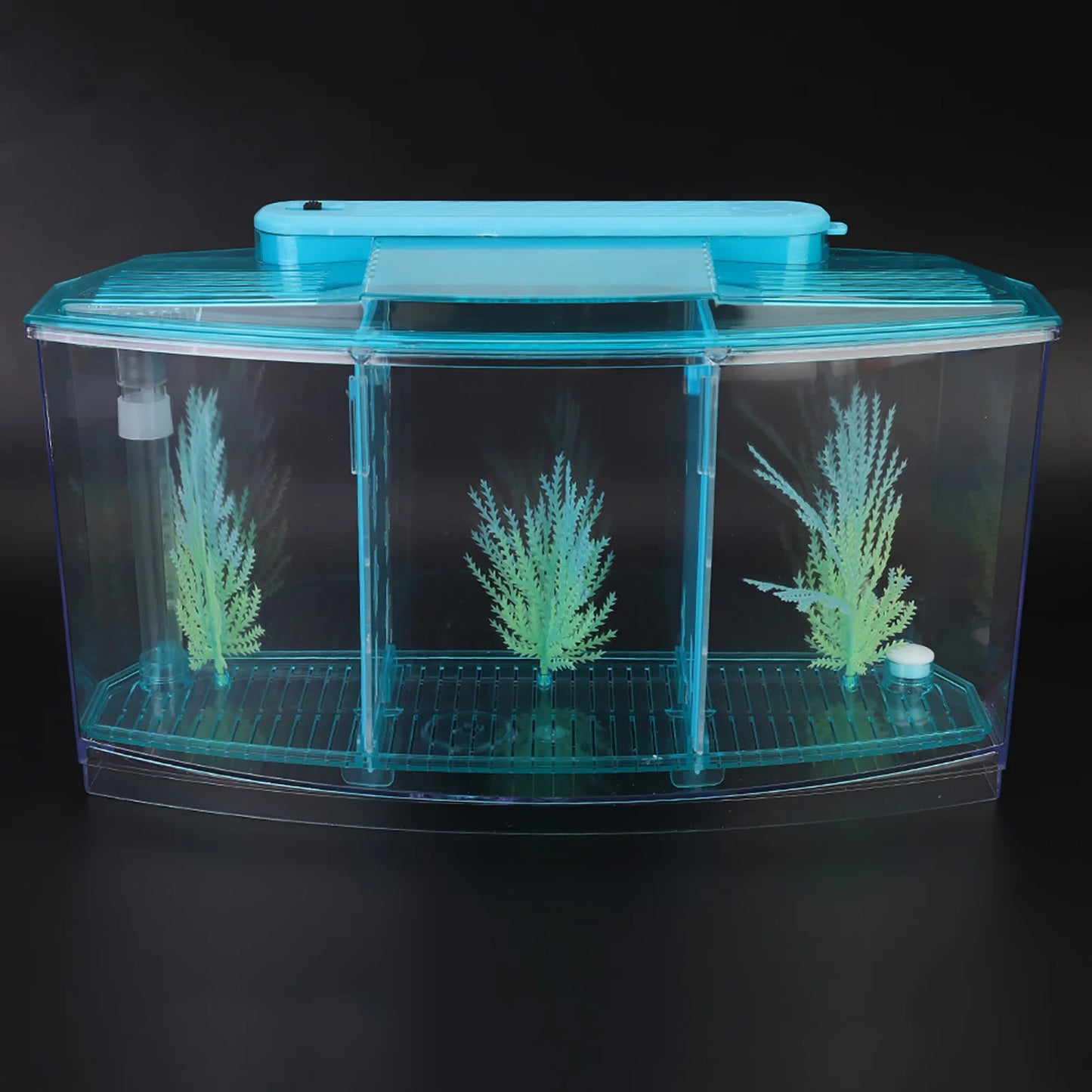 Aquarium Fish Tank