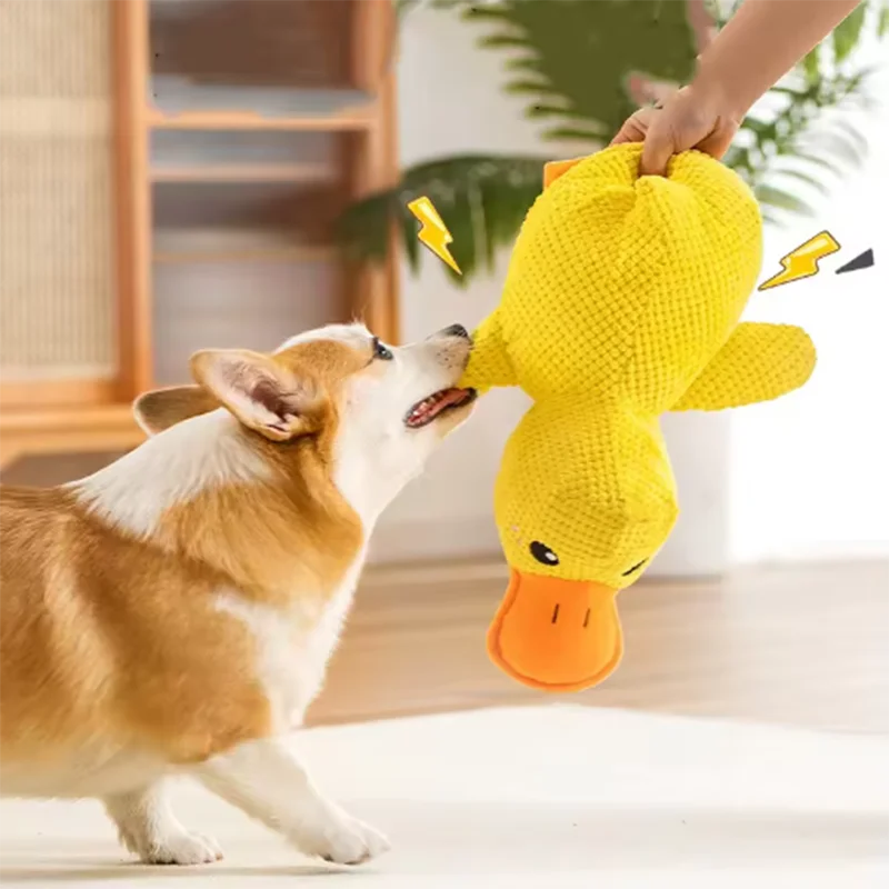 Stomping Duck